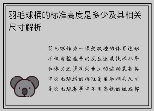 羽毛球桶的标准高度是多少及其相关尺寸解析