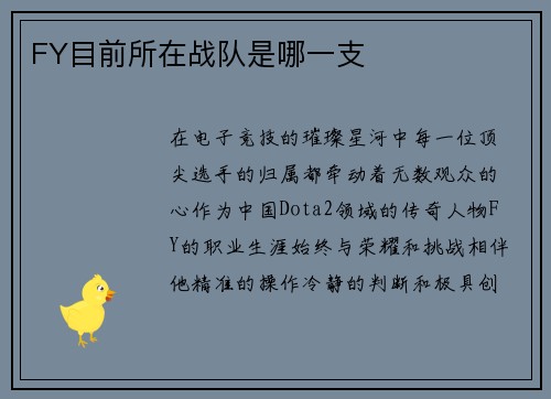 FY目前所在战队是哪一支